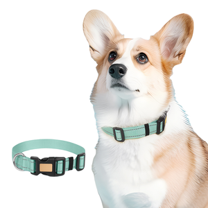 <span class=keywords><strong>Collar</strong></span> de perro con nombre personalizado reflectante para exteriores, <span class=keywords><strong>collar</strong></span> de perro ajustable grabable con correa para mascotas - Product Image 1