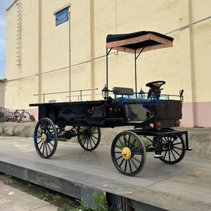 Venta Directa de Fábrica, Limusinas Clásicas Negras, Elegantes Coches Fúnebres, Carro Fúnebre Vintage en Venta - Product Image 4