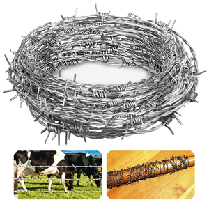 Alambre de púas de acero galvanizado de alta seguridad para cercas perimetrales y protección de barreras - Product Image 4