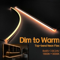 Lampu Rumah Pintar IP68 Dim to Warm 24V Neon Flex Ra95 Strip Lentur Anti-UV LED Outdoor untuk Fasad Komersial/Kamar Hotel/Taman