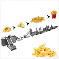 Volledig automatische industriële productielijn voor diepvriesfrieten (100-3000 kg/uur), machine voor het maken van verse aardappelchips, te koop