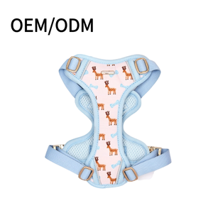 Conjunto de Coleira para Gato e Cachorro Colete Bonito à Prova de Fuga para Caminhadas Confortável Ajustável com Guia e Refletivo para Atividades ao Ar Livre - Product Image 1