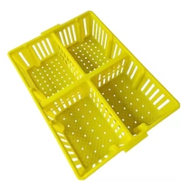 Caisse de Transport en Plastique de Haute Qualité pour Poussins, Conteneur à Bébés Poulets pour Élevages