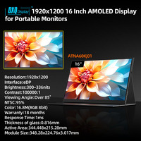 Panneau d'écran OLED HD 1920x1200 personnalisé avec carte pilote Modules OLED 16 'Moniteurs portables Écran Super AMOLED 16 pouces