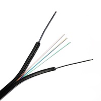 Rollo de Cable de Acometida FTTH de 1 Hilo de Fibra Óptica 1 Núcleo 2 Núcleos 4 Núcleos G652D G657A1 1km 2km