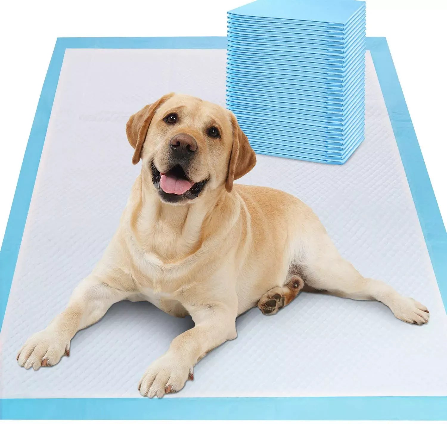 OEM supplier disposable absorbent pet urine potty training pad for puppy dog