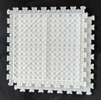 Suelo de pista de patinaje sobre hielo blanco transparente HDPE al por mayor de fábrica Readygo