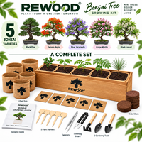 Kit de culture de bonsaï en gros avec boîte de plantation en bois, 5 variétés de graines, ensemble cadeau DIY, OEM ODM, marque privée