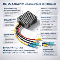 Convertisseur DC-DC 48V vers 12V avec faisceau de câbles personnalisé |   Module d'alimentation pour systèmes de batteries automobiles industriels