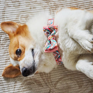 UFBemo, gran oferta, collares de perro con estampado multicolor personalizados, Collar ajustable de liberación rápida para perros y gatos - Product Image 3