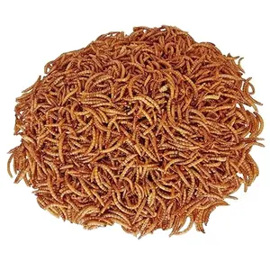 Mealworm หนอนแห้ง,หนอนหนอนแช่แข็งทำให้แห้ง