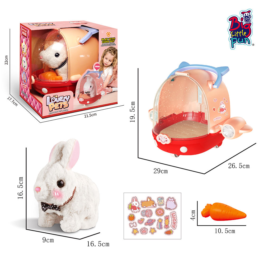 Numéro de type BZ813213