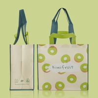 Sacs de courses personnalisés en RPET non tissé 80 g/m² avec motif kiwi mignon, écologiques, réutilisables et recyclables, pour cadeaux promotionnels OEM/ODM