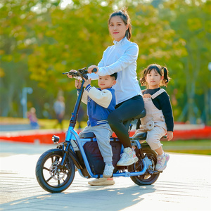 Vente en gros, nouveauté, trottinette électrique à double suspension avec batterie au lithium 36V 10,4 Ah, vélo électrique de ville à deux places - Product Image 4