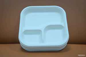 Plato redondo de bagazo biodegradable de 9 pulgadas, plato de pulpa de caña de azúcar desechable respetuoso con el medio ambiente, vajilla para fiesta, catering, restaurante - Product Image 2