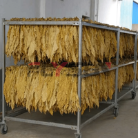 Máquina Secadora de Tabaco con Control de Precisión y Aire Caliente para la Curación de Tabaco, Máquina para Secar Hojas de Tabaco