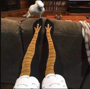 Envío Directo invierno otoño mujer 3D pollo estampado divertido dibujos animados muslo alto calcetín moda lindo señoras fino dedo del pie <span class=keywords><strong>pies</strong></span> Calcetines - Product Image 2