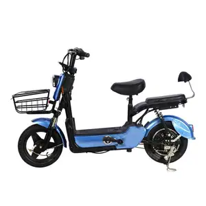 Motorcycle Dirt Foldable Motorcycle Four Wheel Retro Beach Family Custom Frame Swappable Battery 48V1000w Ofr Electric Bicycle