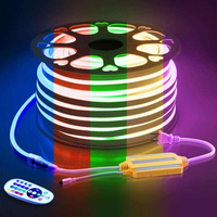 Bande lumineuse LED AC110V 220V SMD5050 RGB Neon Flex 120LEDs/m Ra80 10w/m 100m/rouleau IP67 étanche pour aménagement paysager