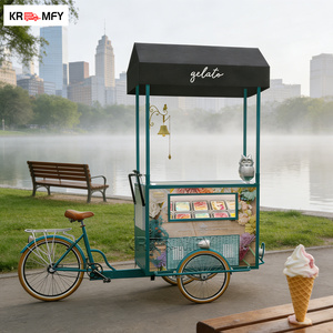 Carrito de Helados de Fibra de Vidrio con Logotipo Personalizado, Aprobado por CE y NSF, para Eventos al Aire Libre en Australia, 1 Año de Garantía - Product Image 2