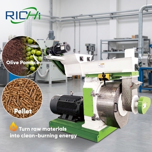 RICHI - Molinos de Pellets de Madera de <span class=keywords><strong>Roble</strong></span>, Nogal y Olivo de 1-2 t/h, Personalizados en Rusia, Gran Venta - Product Image 1