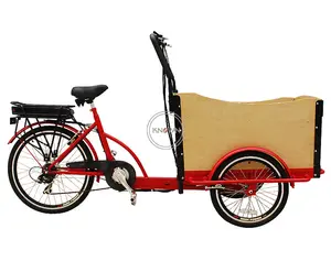 2024 Cargo Bike Three Wheel Electric Tricycle Adult Freight Tricycle Front 2 Wheels Bicycle WIth Seat Belts