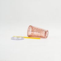 Gobelet isotherme réutilisable en plastique acrylique personnalisé de 14 oz, à double paroi, sans BPA, avec couvercle et paille