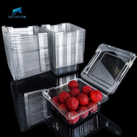 Boîtes alimentaires rectangulaires jetables en plastique PET transparent recyclable, emballage blister avec couvercle