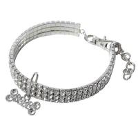 Collier pour chien et chat en plastique solide et coloré, collier simple décoratif pour animaux de compagnie