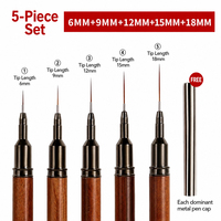 Service OEM, ensemble de pinceaux à liner pour nail art en nylon souple et flexible, 5 options de taille, pinceau à liner pour salon et manucure DIY à domicile