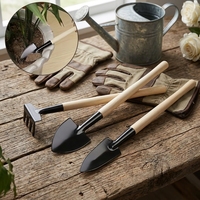 Set di Attrezzi da Giardino Mini per Casa, Tre Pezzi: Pala, Rastrello e Vanga Multifunzione, Leggeri, OEM, per Scavare e Piantare