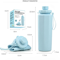 Vente en gros Logo personnalisé Tasse de boisson de voyage pliable Bouteilles pliantes en silicone souple Bouteille d'eau pliable pour sports de plein air