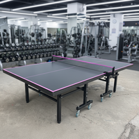 Table de ping-pong d'intérieur pliable, panneau standard, mobile avec roues et balles