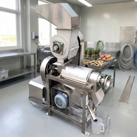 Industriële commerciële automatische citroenpersmachine van roestvrij staal, citrus- en sinaasappelsapcentrifuge, hoge efficiëntie, 5 jaar garantie