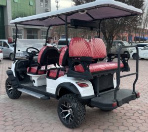 2026 CE Certified Factory Sightseeing 6-Seater Electric Golf Cart <strong>Black</strong> Model with 48v Battery Steel Material New Model <strong>Buggy</strong> - Product Image 4