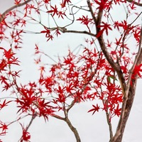 Árbol de Arce Rojo Artificial de Fibra de Vidrio para Ingeniería Paisajística, Árbol para Fondo de Boda, Jardín, Patio y Paisajismo