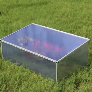 Maisons métalliques en aluminium Petites mini serres <span class=keywords><strong>de</strong></span> <span class=keywords><strong>jardin</strong></span> commerciales en <span class=keywords><strong>polycarbonate</strong></span> à cadre économique <span class=keywords><strong>Serre</strong></span> <span class=keywords><strong>de</strong></span> <span class=keywords><strong>serre</strong></span> - Product Image 4