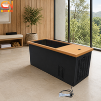 Baignoire de plongeon froid intégrée en bois et acier inoxydable pour le bien-être à domicile et les salles de sport commerciales