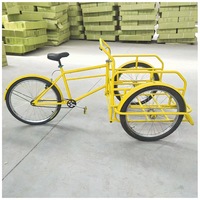 Bicicleta de Carga de Una Velocidad SKYLIKEDOME en Oferta, Triciclo de Carga Frontal con Frenos de Disco y Llantas de Aleación de Aluminio para Transporte de Mercancías