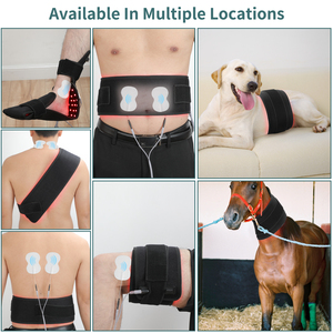 Appareil professionnel de thérapie par la lumière rouge pour le soulagement de la douleur des genoux et des pieds-Traitement complet du corps - Product Image 5