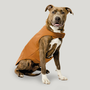 Abrigo grande personalizado para perros, venta al por mayor, ropa para mascotas, chaqueta clásica reversible de lona a cuadros para caza al aire libre para perros - Product Image 6