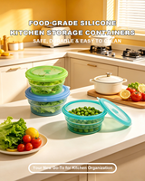 Contenitore per Pranzo Pieghevole in Silicone per Esterni con Coperchio, Adatto al Microonde, Resistente al Calore, Anti-Odore, per Campeggio e Conservazione Alimenti