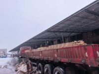 Perceuse à diamant sur socle Dongcheng pour le perçage du béton et l'échantillonnage, diamètre de perçage maximal de 160 mm, modèle