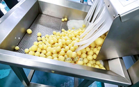 Wasmachine voor wortelgroenten 500-1000KG/H, wortelsnijmachine, aardappelblokjes snijmachine, aardappel schil- en polijstlijn
