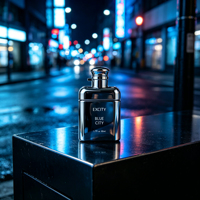 Parfum pour femme sur mesure OEM, brume longue durée, spray de parfum pour homme, pratique