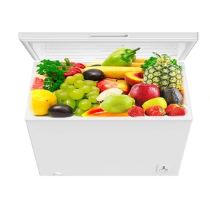 Congélateur horizontal 9 pieds cubes / 254L - Product Image 4