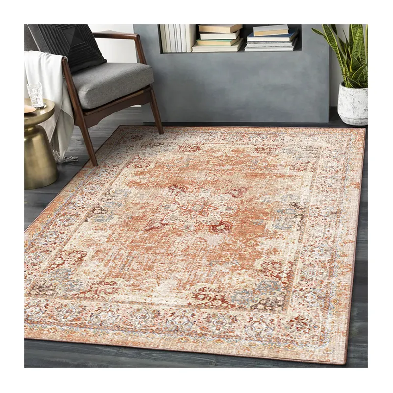 Indoor Soft Low Pile Wholesale Stain Resistant Washable Non-Slip Backing RugsArea Rugs and Floor Carpets