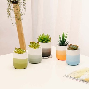 YBH moderno interno ceramica blu e bianco vaso di <span class=keywords><strong>fiori</strong></span> opaco finitura succulenta pentola <span class=keywords><strong>per</strong></span> la casa e Hotel <span class=keywords><strong>da</strong></span> <span class=keywords><strong>tavolo</strong></span> <span class=keywords><strong>per</strong></span> la decorazione delle piante - Product Image 2