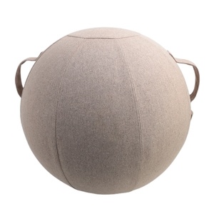 Zhensheng गर्म विक्रेता संतुलन गेंद कुर्सी स्थिरता योग व्यायाम गेंद कवर - Product Image 1