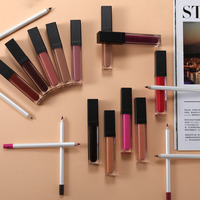 Ensemble de gloss hydratant et de crayon à lèvres liquide personnalisé, longue tenue, fini mat, vitamine E, plusieurs couleurs, étiquette privée, OEM personnalisable